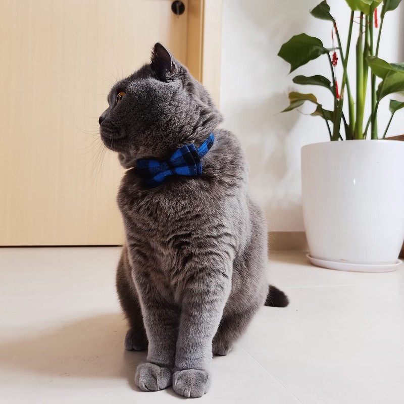 Cat Collar Breakaway with Bell and Bow Tie, Plaid Design