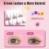Brown Wimpern Extensions Set 100Pcs 8-12mm Mixed Clear Band Künstliche