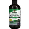 Nature's Answer, Sambucus (Black Elder), 2500mg, Alcohol Free, Vegan, 240ml,
