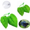 Betta Fish Leaf Hammock, Aquarium Decor for Resting Sleeping Hiding,