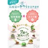 Megumi Lactic Acid Bacteria, 30-Day Supply, 6 Trillion Packets, 27