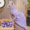 Sphynx Hairless Cat Shirt Rainbow Stripe Kitten T-Shirt With Sleeves,