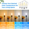 12-Pack Vintage LED Edsion Bulbs 100W Equivalent, E26 Base Bulb