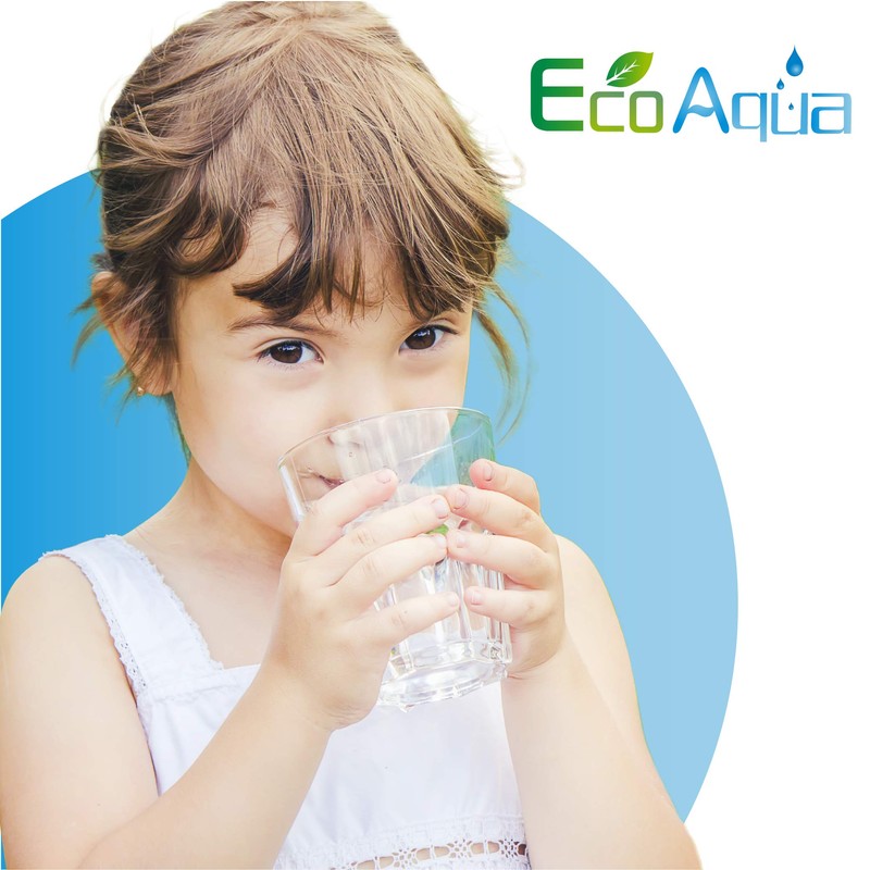 EcoAqua EFF-6011A Refrigerator Water Filter, Replacement for DA29-00003G, Aqua-Pure Plus,