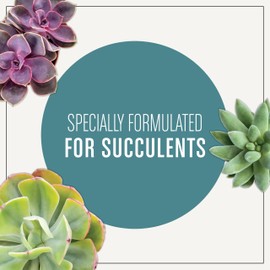 Miracle-Gro Succulent Potting Mix, For Indoor Succulents, Aloe Vera and More, Made with Miracle-Gro Plant Food, 4 qt