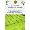 UJI MATCHA Matcha Powder, 3.5 oz (100 g), Dark Color/Freshly