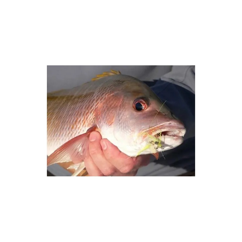 Curricanes Señuelos Moscas Para Mar - Bonefish Special