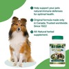 Essiac International Herbal Supplement for Pets, 60 Capsules
