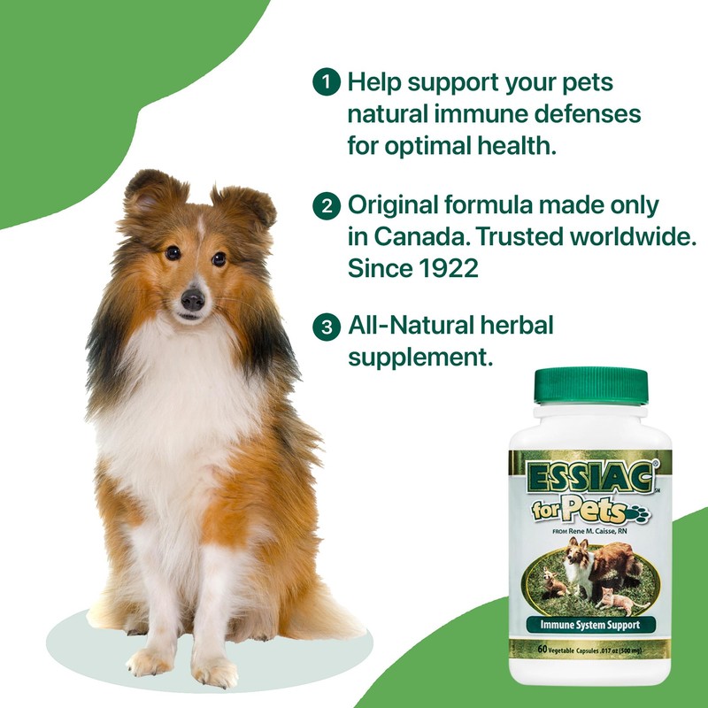 Essiac International Herbal Supplement for Pets, 60 Capsules