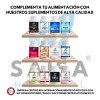 Citrato Magnesio Puro 120 Cápsulas 500 Bolsa Suplemento Alimenticio Alta