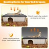 PINVNBY Large Bearded Dragon Basking Platform, Wooden Snake Hide, Ball