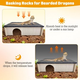 PINVNBY Large Bearded Dragon Basking Platform, Wooden Snake Hide, Ball Pythons Hide with Slate Rock, Leopard Gecko Tank Accessories for Geckos, Crested Gecko Chameleon Turtles (L: 11.8x7.87 inches)