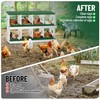 Chicken Nesting Boxes, 8 Compartments Nesting Boxes, Metal Chicken Laying