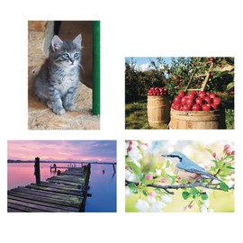 Thera-Jigsaw™ Foam Puzzles Set: Apple, Bluebird, Dock, and Kitten (Set of 4)