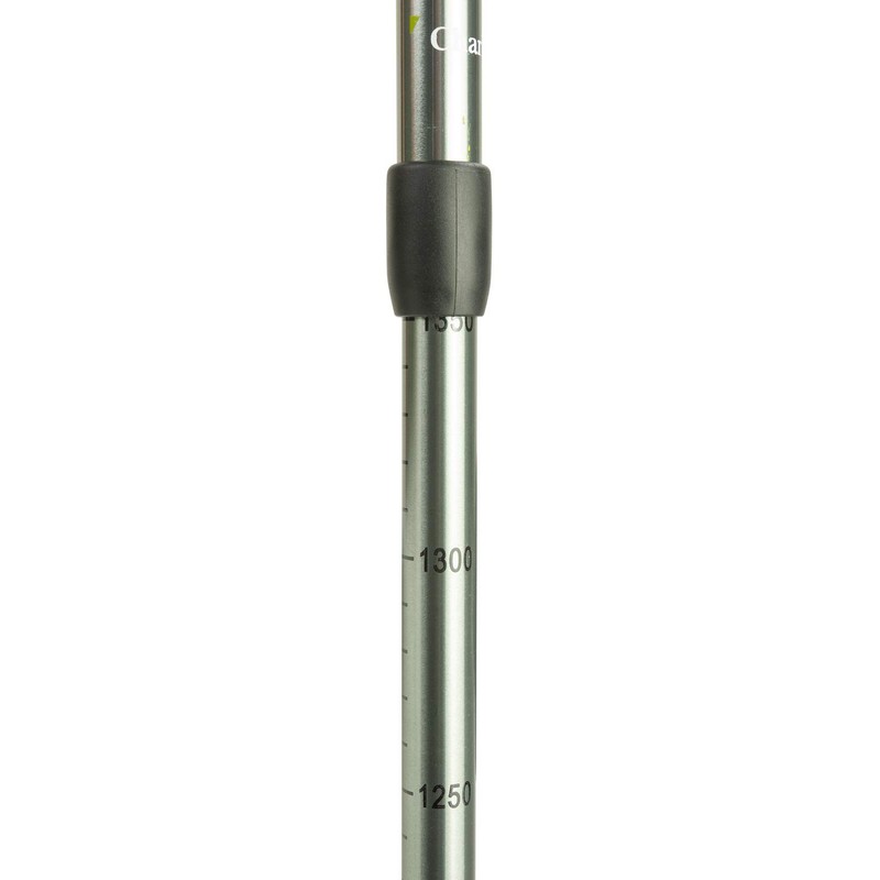 Charles Buyers Aluminium Hiking Pole - Hill Tops