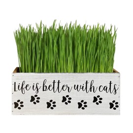Cat Planter, Life is Better With Cats Wood Box, Catnip, Gift from Cat for Dad, Mom, Veterinarian, Mother's Day (Cats)