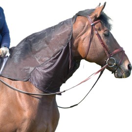 Cashel Quiet Ride Horse Hood