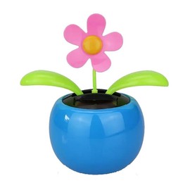 Solar Wobble Flower Flora