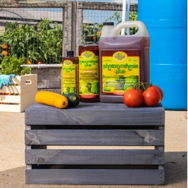 Microbe Life Hydroponics PH21553 Photosynthesis Plus-C All Nutrients for Maximum Yields for Sale in California, Brown, 16 Ounces