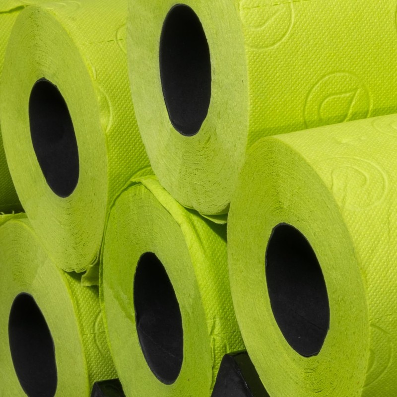 Renova Lime Green Toilet Paper 3-Ply - Ideal for Decorating