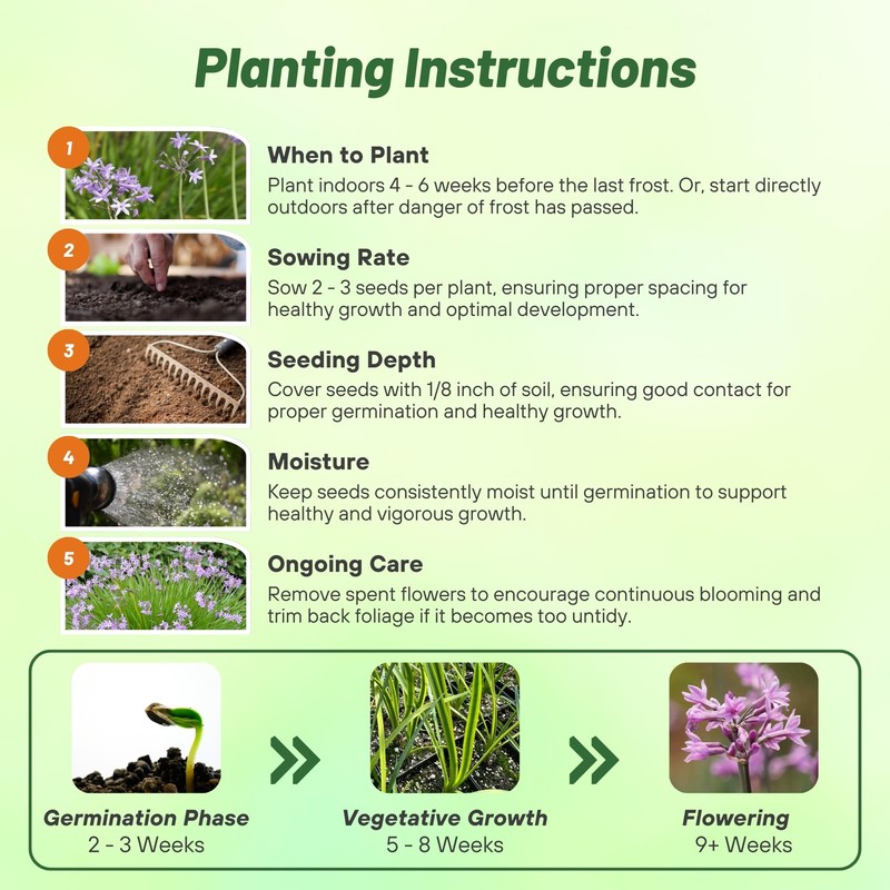 Outsidepride Society Garlic Seeds for Planting - 100 Pcs Perennial,