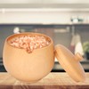 Sour Jujube Wood Condiment Jar Japanese Safe Dustproof Classic Flip
