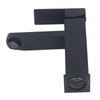 Basin Faucet Stainless Steel Surface Black Baking Paint Bathroom Sink