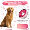 CNEO Inflatable Dog Cone Collar with Detachable Enhanced Anti-Licking Shield,