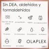 Olaplex Kit Tratamiento Para Cabello No.6y No.7 Aceite Cabe