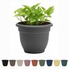 Bloem Ariana 6" Charcoal Round Self-Watering Resin Planter Pot -