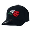 Mexican Mexico Hat Hecho En Mexico Eagle Aguila Snapback Flat