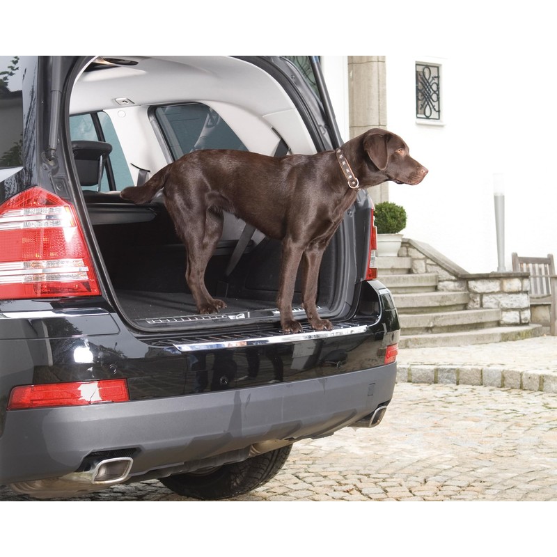 Foliatec 34125 Paint Protective Film Bumper Sill, Protects Your Bumper