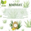 Jabón Orgánico De Sábila Aceite Ozonizado Vitamina E
