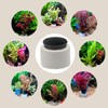 10 Sets Aquarium Planting Baskets Rings and Cottons Fish Tank