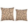 Dry Cracked Ground Design Throw Pillow