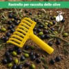 Crisalide - 5 Pieces Olive Rake Comb 9 Teeth Plastic