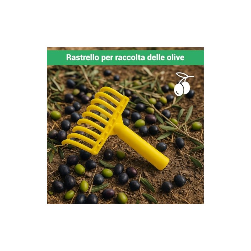 Crisalide - 5 Pieces Olive Rake Comb 9 Teeth Plastic