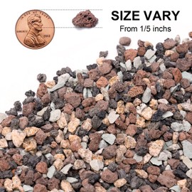 Pulovin 2.5lbs Lava Rocks for Plants, 1/5 Inch Pea Gravel for Pots Indoor, Succulent, Terrarium, Cactus, Bamboo, Bonsai Tree, Mixed Color Volcanic Rocks for Top-Dressing, Good Drainage
