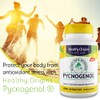 Healthy Origins, Pycnogenol, 100mg, Pine Bark Extract with Procyanidins, 60