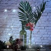 4 Pack Fairy Lights Battery Operated, 16.4 Ft 50 LED