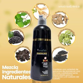 1 Champú para Teñir El Cabello 3 en 1 | Shampoo Tinte Instantáneo Orgánico Natural Colorante, Cobertura de Canas Unisex, 500ml (Negro)