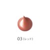 【Official】Marshfield SC Cream Foundation I Inner Color for Freckles, Dark