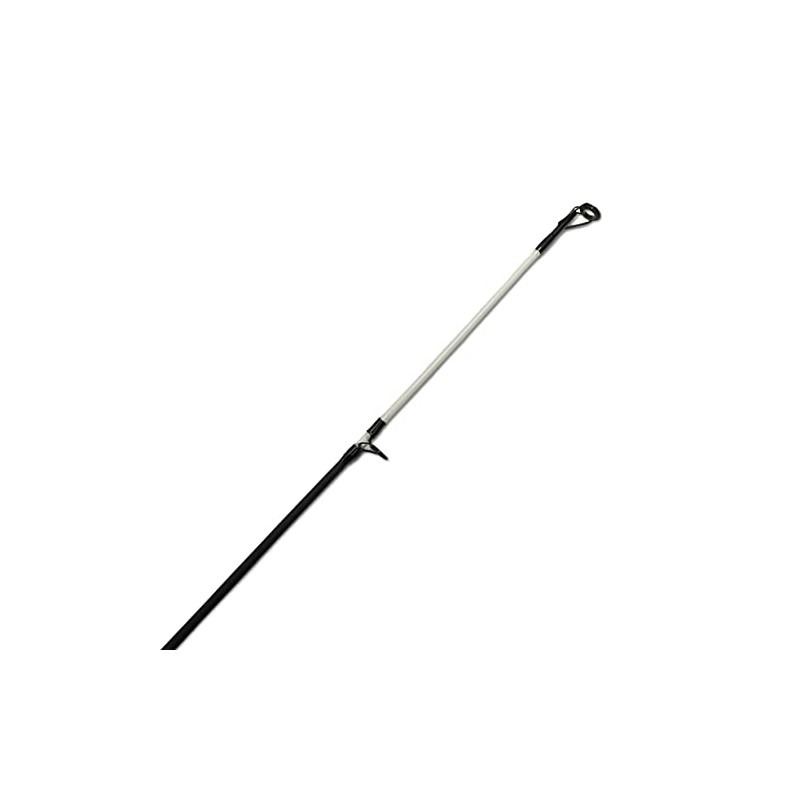 Lidsters 2 Fishing Beachcaster Sea Beach Pier Fishing Rod 12ft