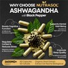 Organic Ashwagandha with Black Pepper | 2600mg Daily Dose |