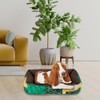 Fancy Pets Cama Lucky Eco para Perro Mediano 60 cm