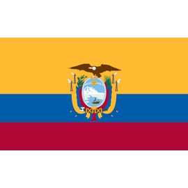 Valley Forge Flag 3-Foot by 5-Foot Nylon Ecuador Flag