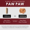 AMALTH Paw Paw Extract 1000 mg (20:1) 120 Capsules |