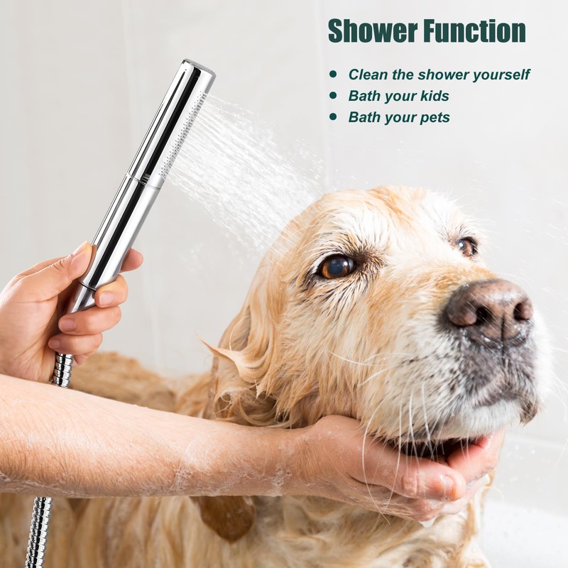 Heyalan Brass 2 in1 Function Handheld Spray Polished Chrome Hand