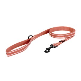 Good Scout 5' Heavy Duty Dog Leash for Medium Dogs, Durable Walking & Training Leash for Puppies & Adult Dogs, D-Ring for Waste Bag Storage, Brick