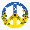 Sunflower Ukrainian Flag I Stand with Ukraine Ukraine Peace Bumper